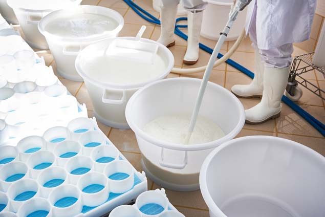 Bild für: Milch- & Käseherstellung